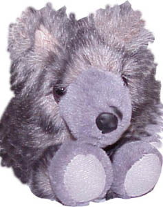 Wolf