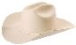MA1812-4  4" FLOCKED STETSON**DOZEN**