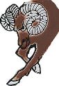 3169 2" FLAT RAM PICK PKG/24