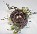 HC3085  Birdnest Pick W/ Ivy & Eggs  **Price per Dozen**