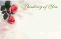 Thinking Of You