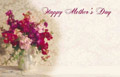 3976  Mother's Day Enclosure Cards **Pkg of 50**