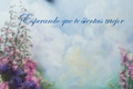4115  Get Well Enclosure Cards **Pkg of 50**