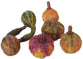 FA297   Mini Pumpkin    **Box of 10**