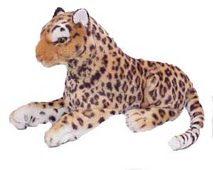 Leopards