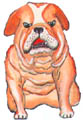 39943D  Bulldog Pick  **Pkg of 24**
