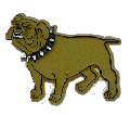 AM3004  Bulldog Pick **Pkg of 24**