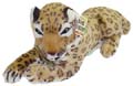 Leopards