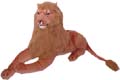 Lions
