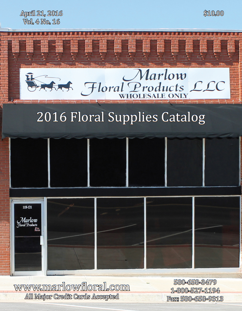 Marlow Floral Supplies Football Mums Wholesale