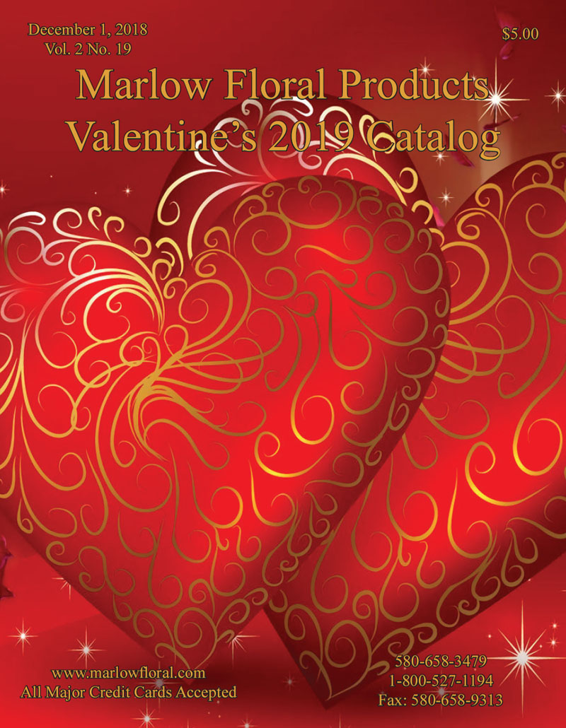 Marlow Floral Supplies Football Mums Wholesale