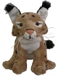 Bobcat