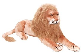 Lions