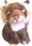 Bobcat