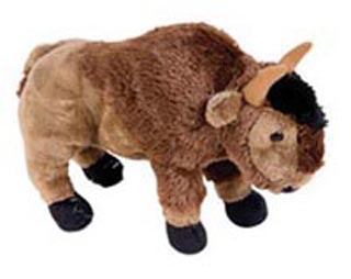 Buffalo and Longhorn