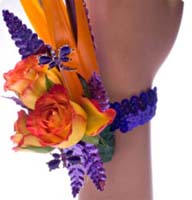 Design Only---Shop for Products