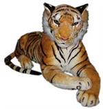 Tigers