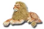 Lions