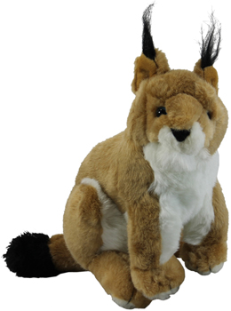 wildcat stuffed animal